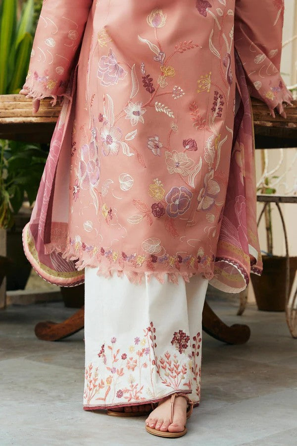 Zara Shahjahan D # 145 - 01 | 3PC Luxury Dhanak | Wool Shawl