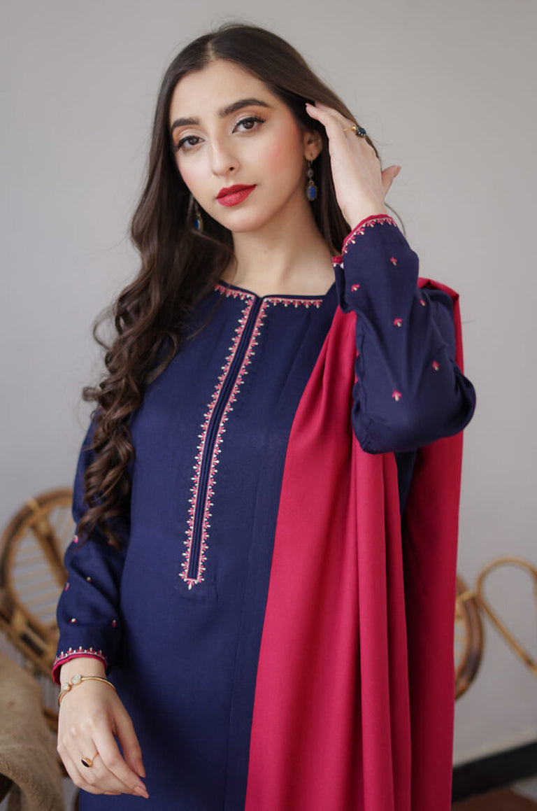 Aisling D # 22 - 04 | 3pc Dhanak with Embroidered Dhanak Dupatta