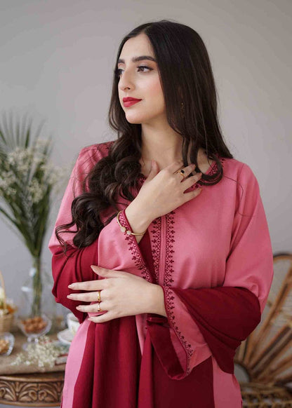 Aisling D # 22- 07 | 3pc Dhanak with Dhanak Embroidery Dupatta